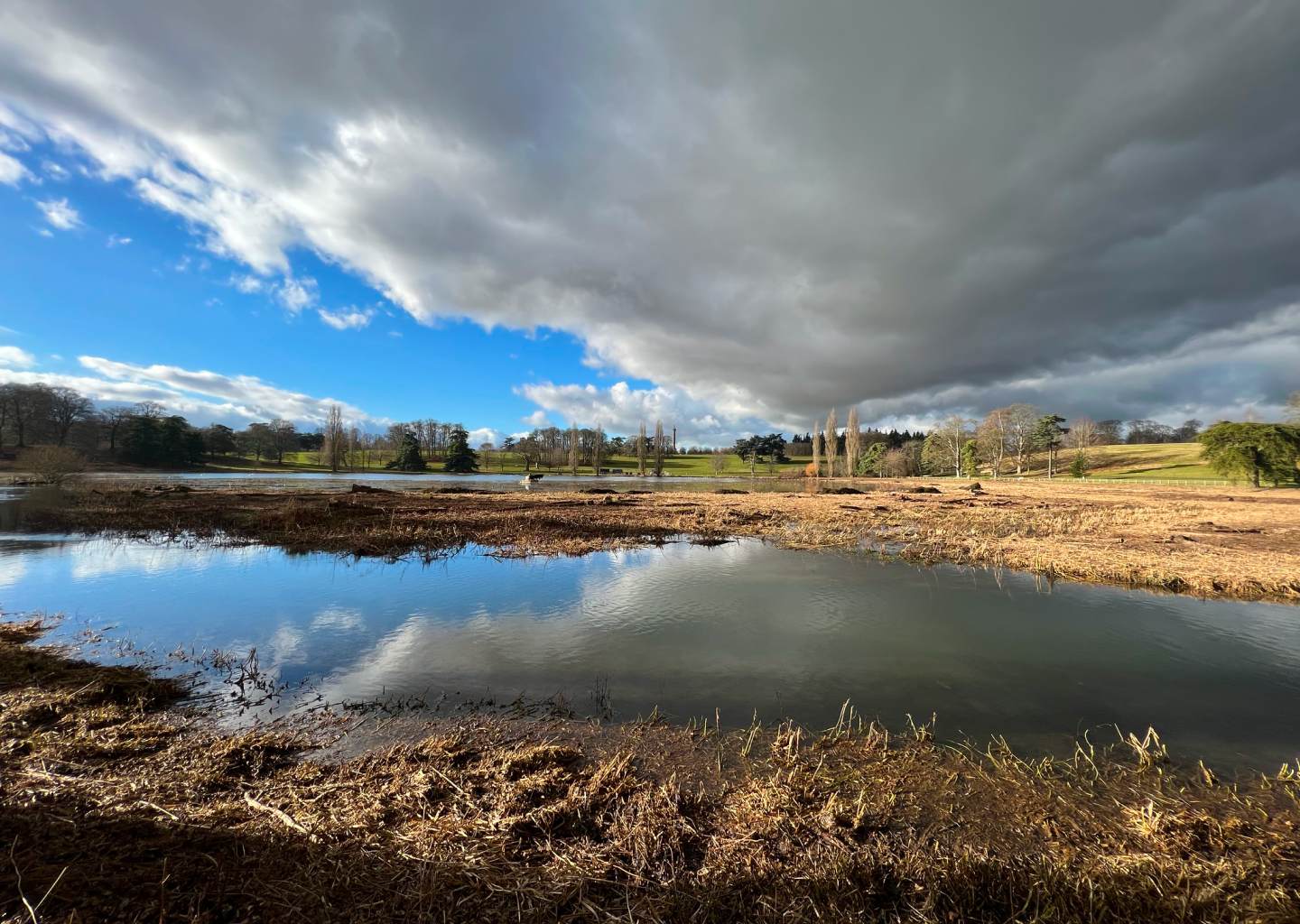 Image showing works carried out on Blenheim Palace pool vegetation clearance