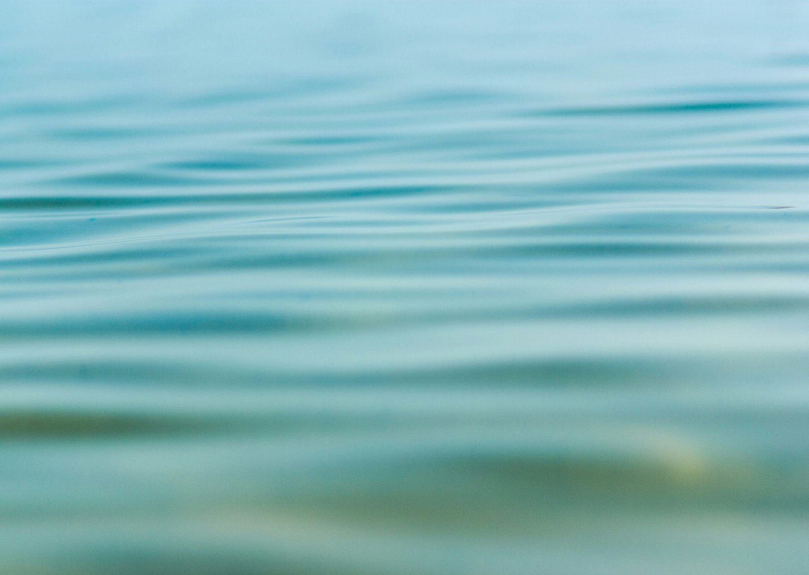 A photo of calming waves.