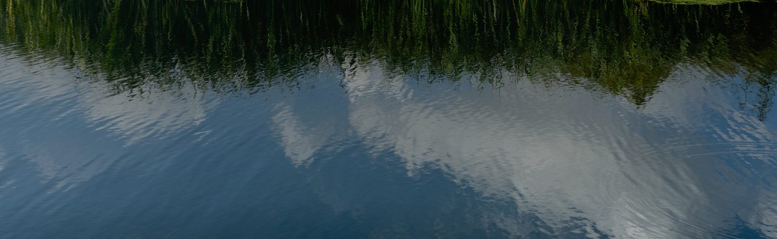 Reflection of a river bank on water.