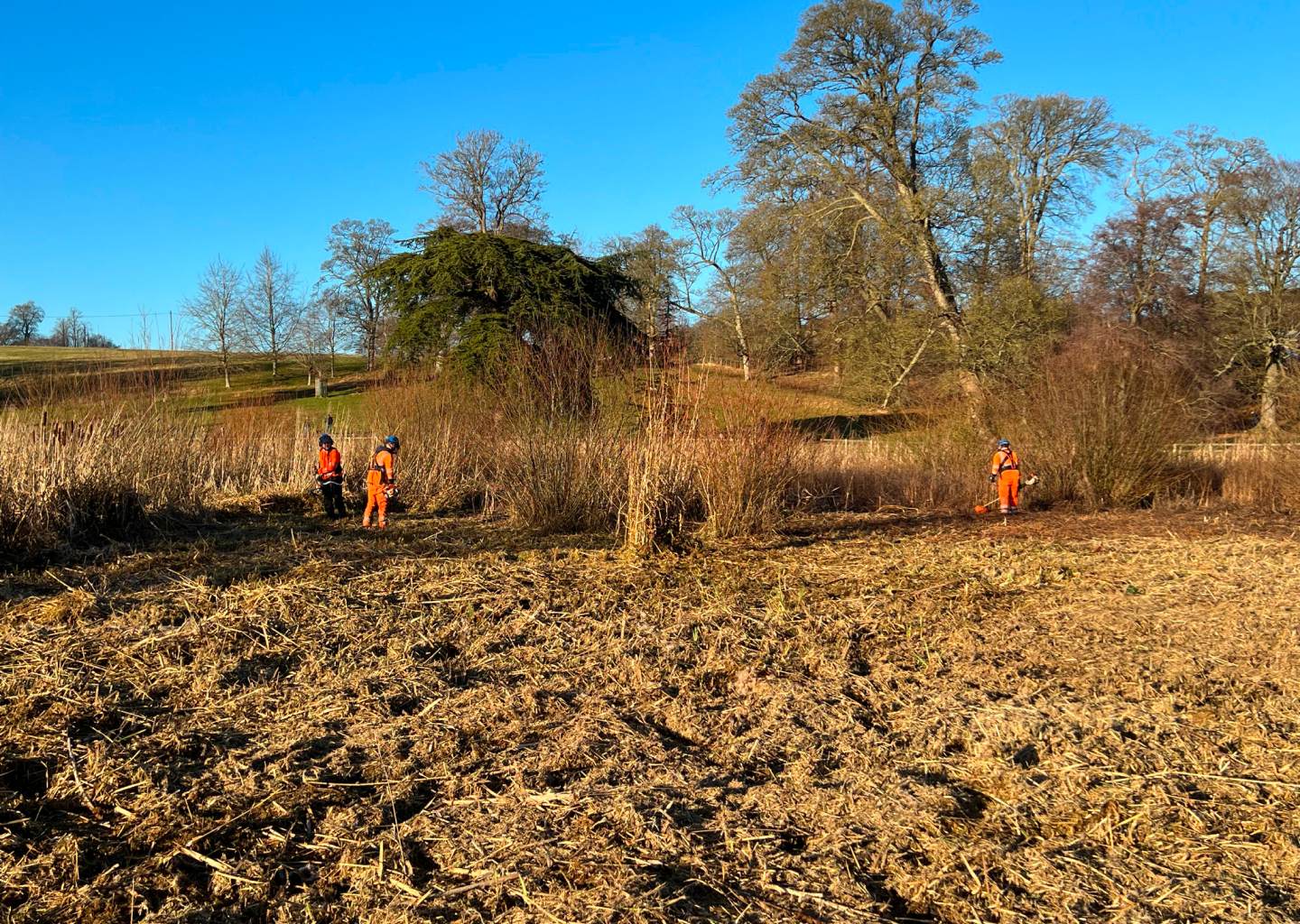 Blenheim Palace – Queen’s Pool Vegetation Clearance’