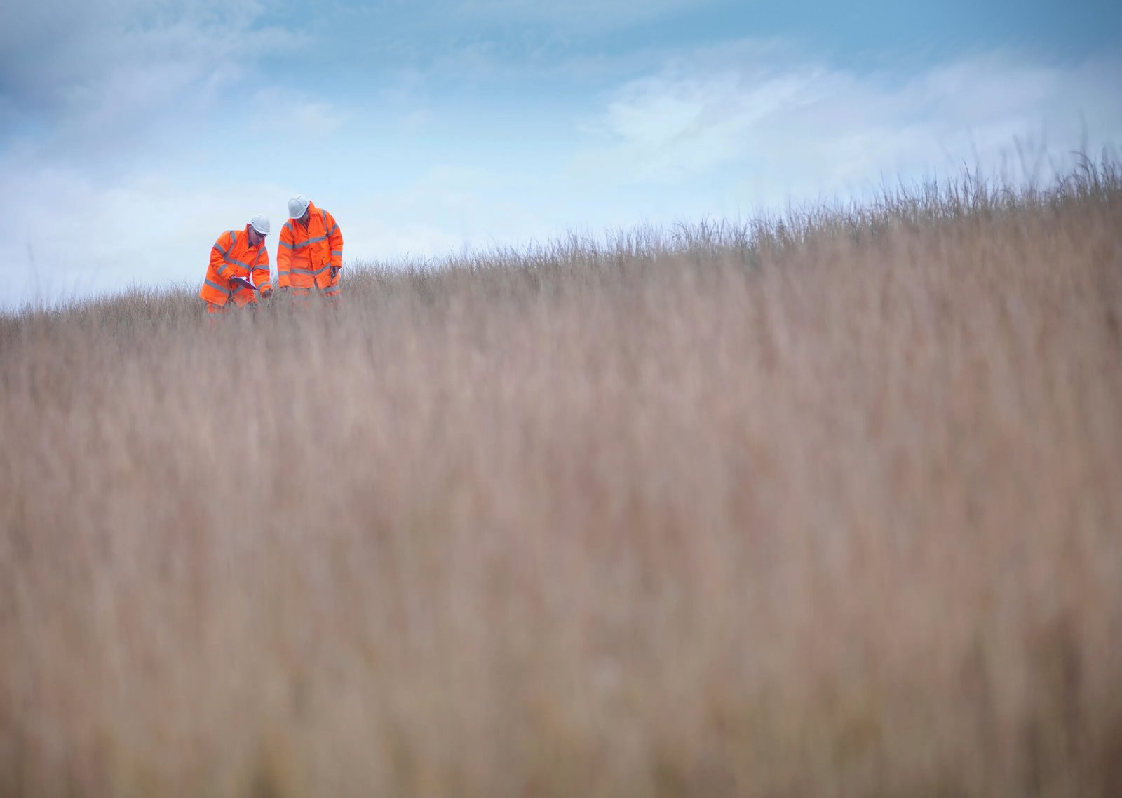 Land & Water: What We Do